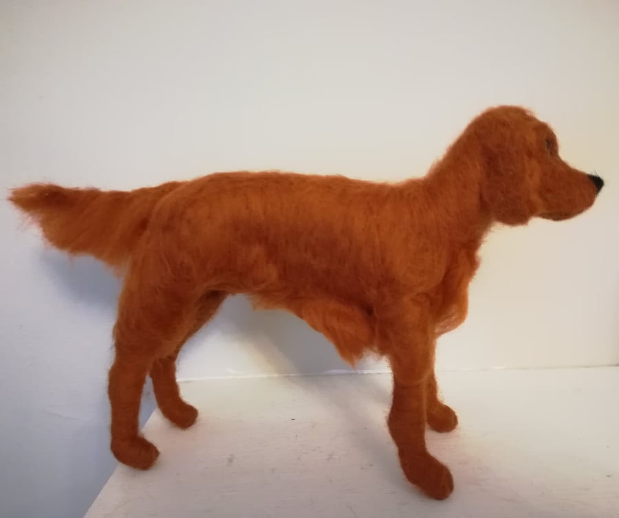 Rufus, the Red Setter 