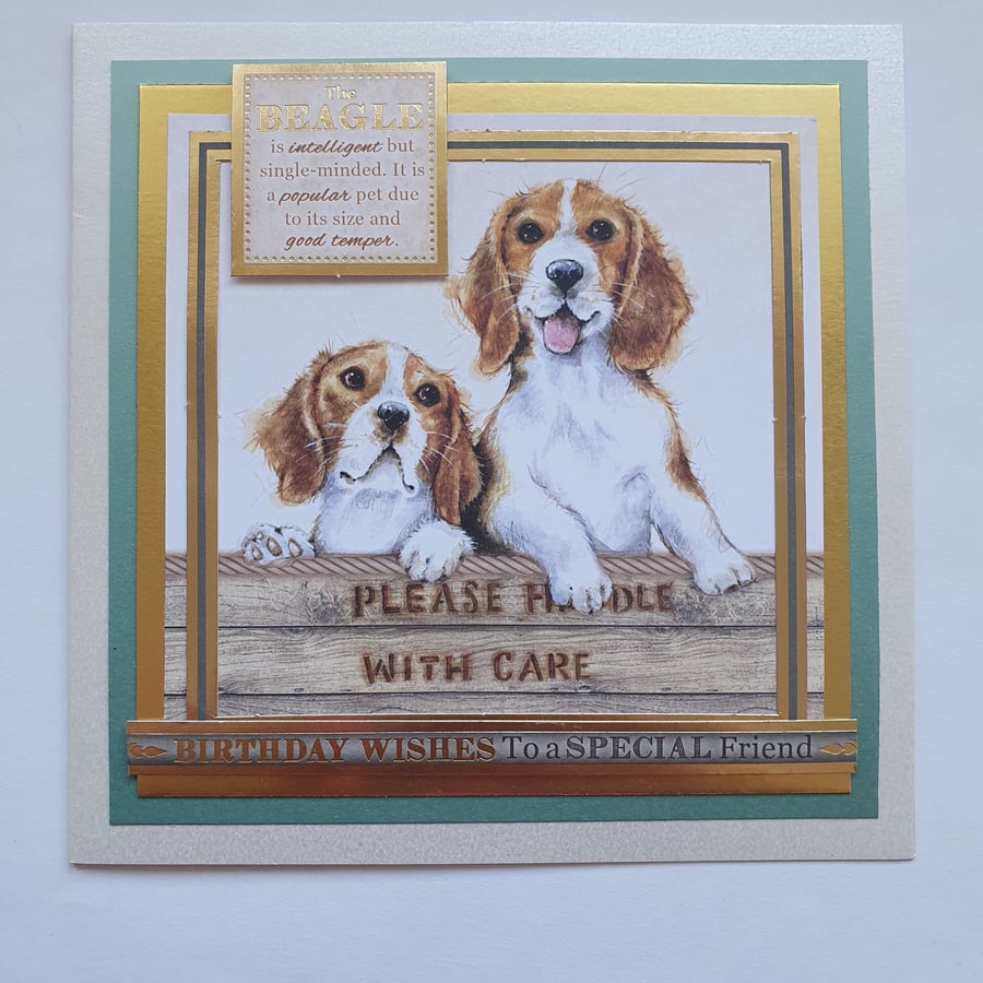 A beagle lovers birthday card