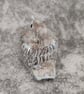Baby Fledgling Ornament, Pale Blue Brown Little Bird Sculpture - Image 5