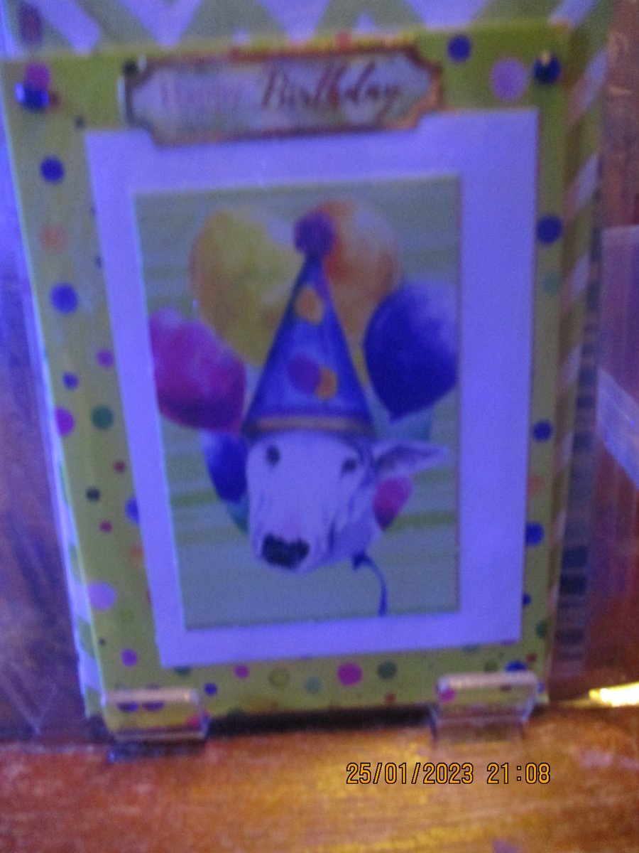 Happy Birthday Dog Card Folksy