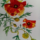Poppy Spiral, original watercolour painting signed, not a print, A5.