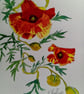 Poppy Spiral, original watercolour painting signed, not a print, A5.