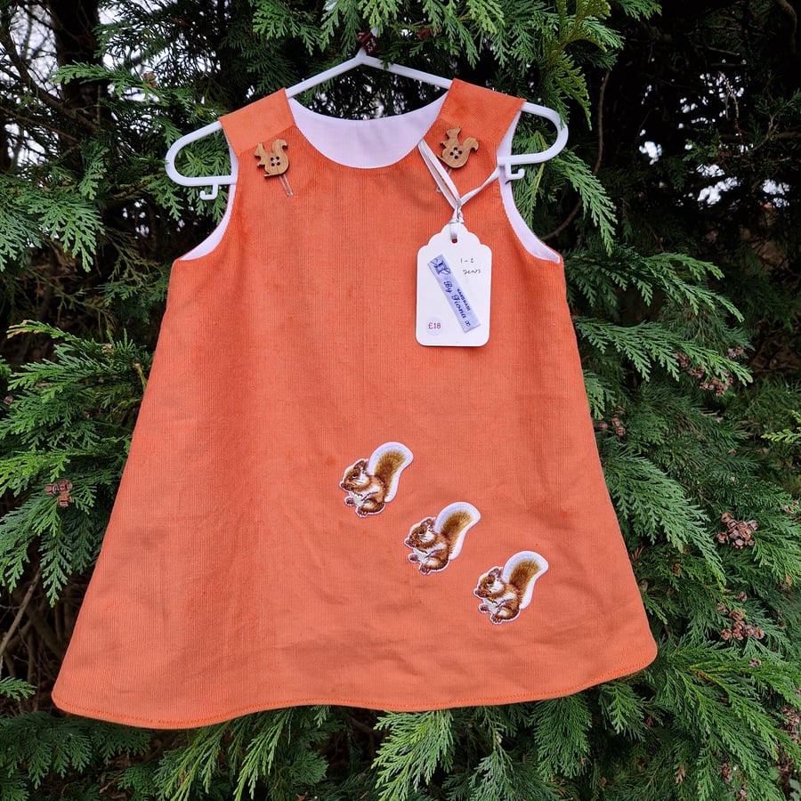 Age: 1-2yr Mandarin Squirrel Needlecord Dress