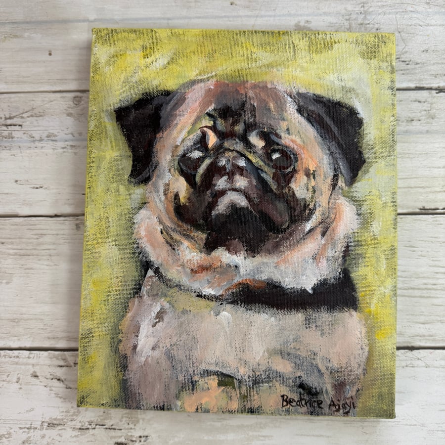 Dog, Pug, Canine, animal, portrait, pet