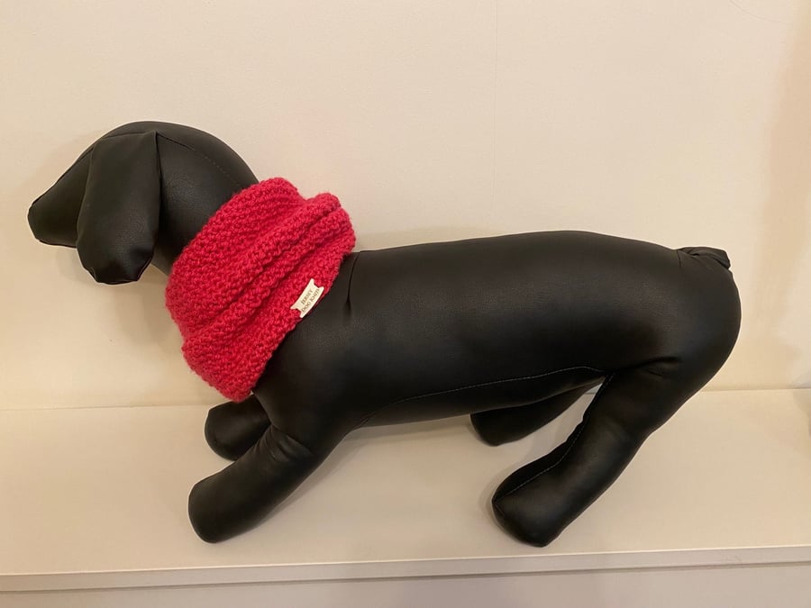 Small Neck Schnoodle, the alternative to a Scarf