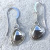 Pure silver cockle shell earrings