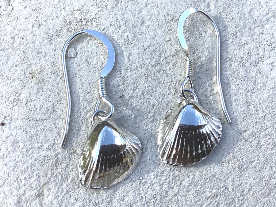 Pure silver cockle shell earrings