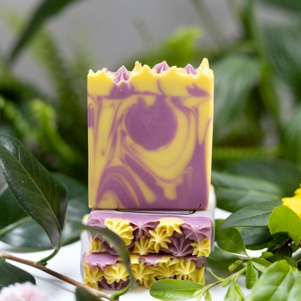 Black Plum and Rhubarb Handmade Soap