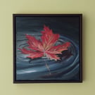 Gently Floating, Autumnal coloured leaf floating on water, origianal landscape
