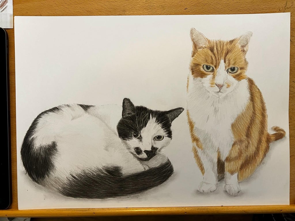 A3 Custom pet portrait for two pets made with coloured pencil