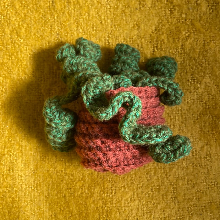 Image of Crochet house plant.