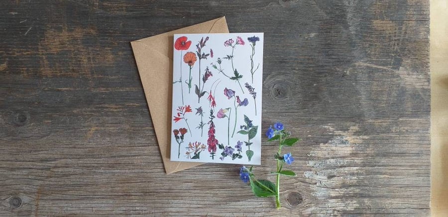Rainbow of flowers card by Alice Draws The Line featuring illustrations of many 
