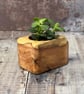 Plant Holder made from beautiful up-cycled wood - Image 5