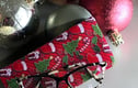 Spectacle cases