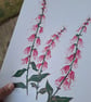 'Foxgloves' An original linoprint of foxgloves in three colours. - Image 5