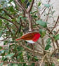 Fused Glass Birds, ROBIN bird lover gift, British bird, hanging bird - Image 2