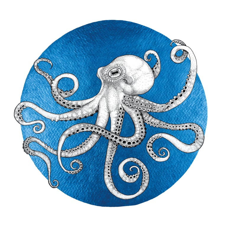 Owen the Octopus - Royal Blue