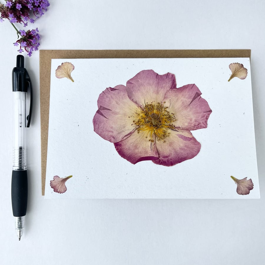 Handmade Real Pressed Rose Greeting Card, Wedding, Anniversary, Birthday