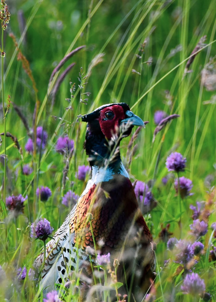 The Riverbank Nature Co