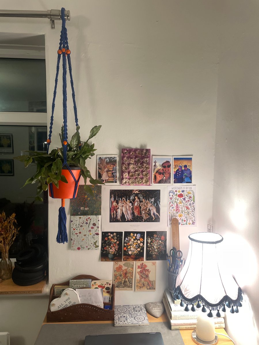 Macrame plant pot hanger