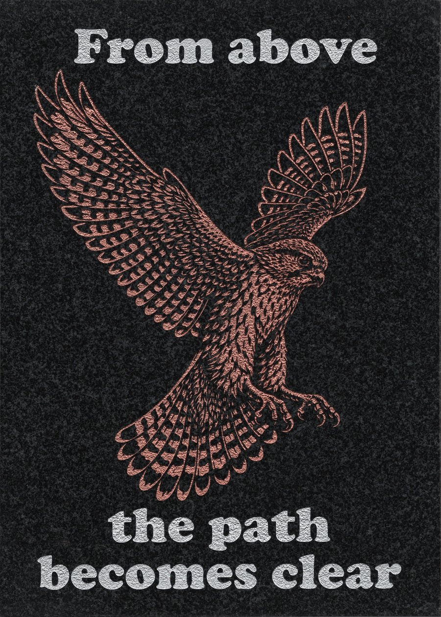 From Above …Nature Wisdom (Hawk)