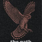 From Above …Nature Wisdom (Hawk)