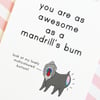 mandrill's bottom A6 greetings card, cute greetings card, positivity