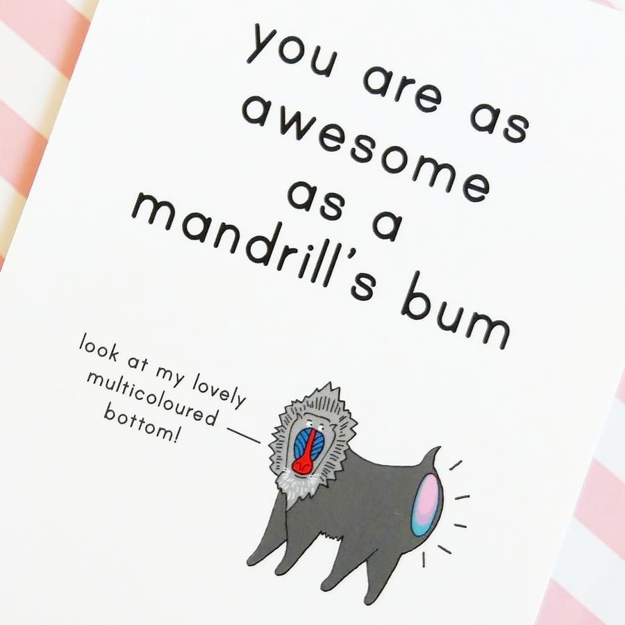 mandrill's bottom A6 greetings card, cute greetings card, positivity