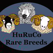 Huruco Rarebreeds