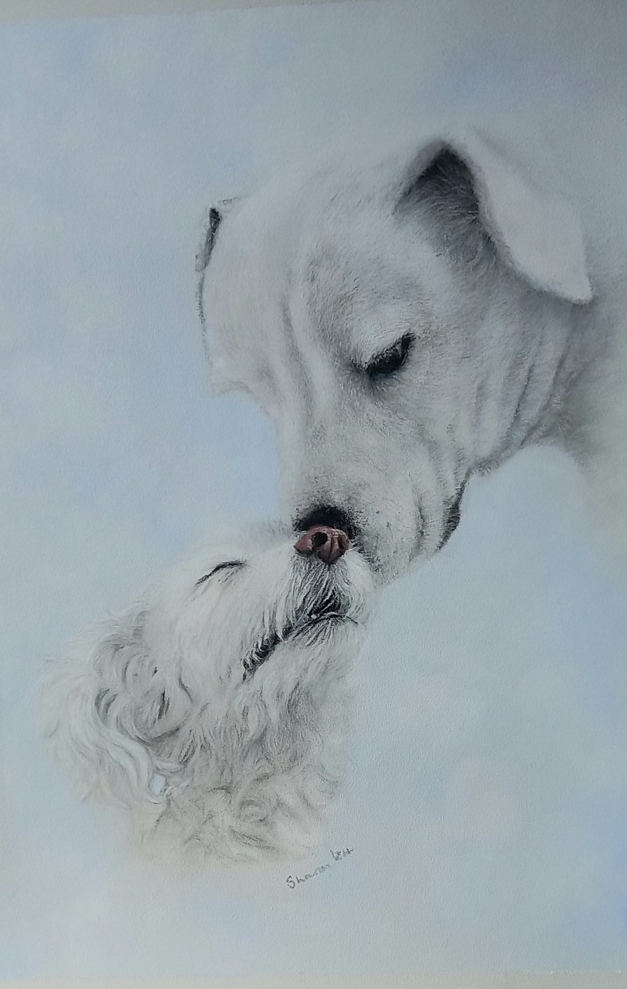 Tender Moments: Two dogs, nose to nose in a gentle moment of greeting