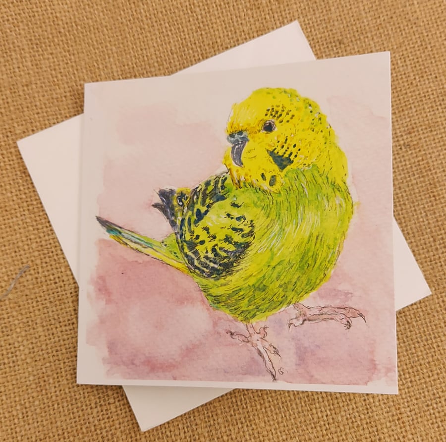 Blank card - Budgie