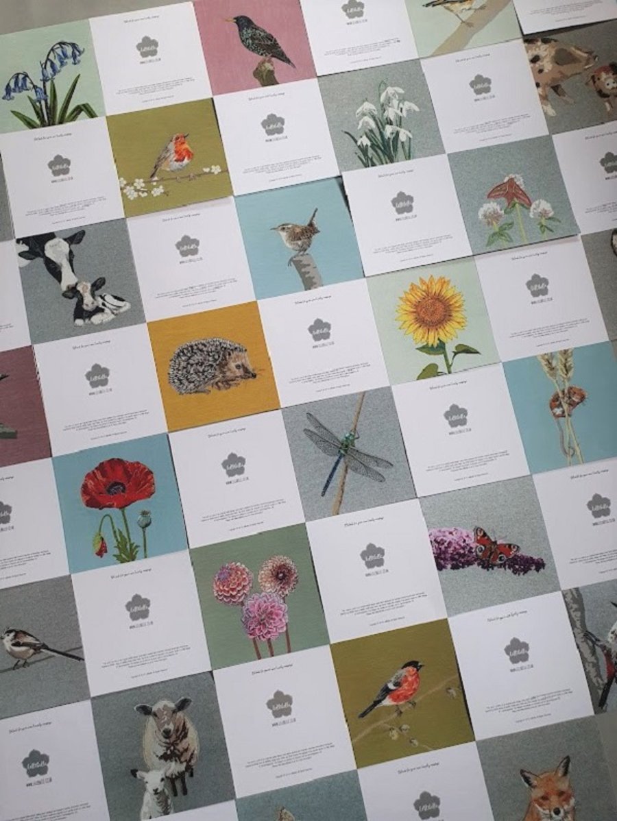 Greetings card bundle - any 4 designs - British birds and wildlife