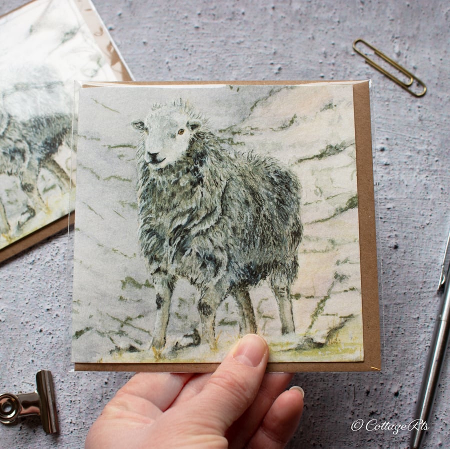 Herdwick Sheep Greeting Card Hand Designed By CottageRts