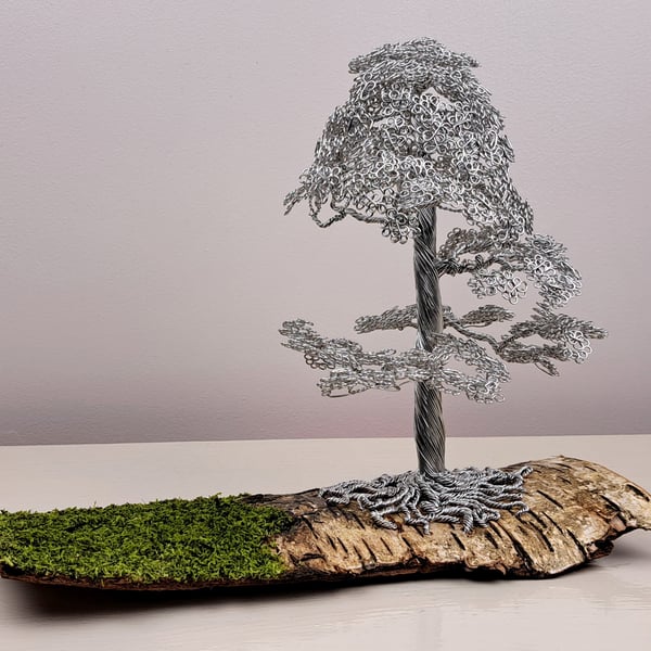 Beautiful Mini wire Oak tree on Elm bark with grass detail