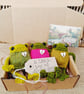 Three Handmade Froglets in a Gift Box - Friendship Gift - Frog Lover Present - Image 5