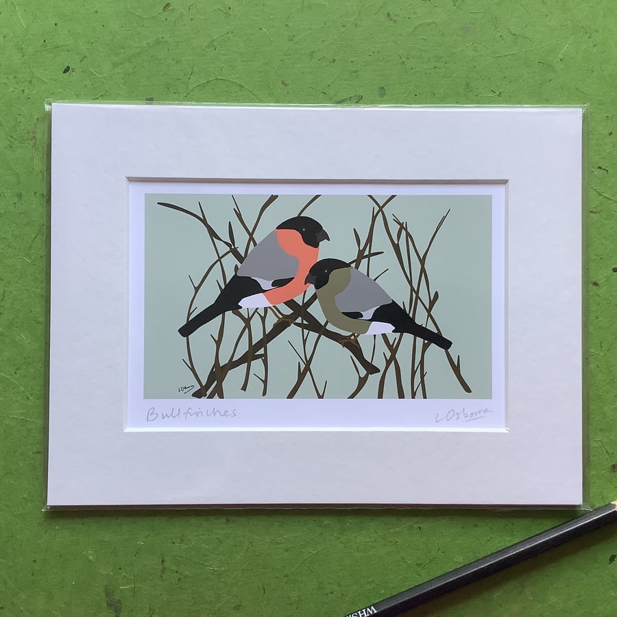 Bullfinches - mounted print from digital illustration. Garden birds.