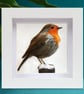 Robin, 3D fabric robin picture framed, gift, robin ornament - Image 5