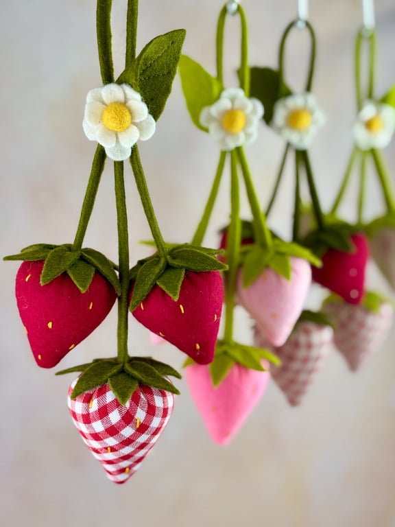 Strawberry Hanger