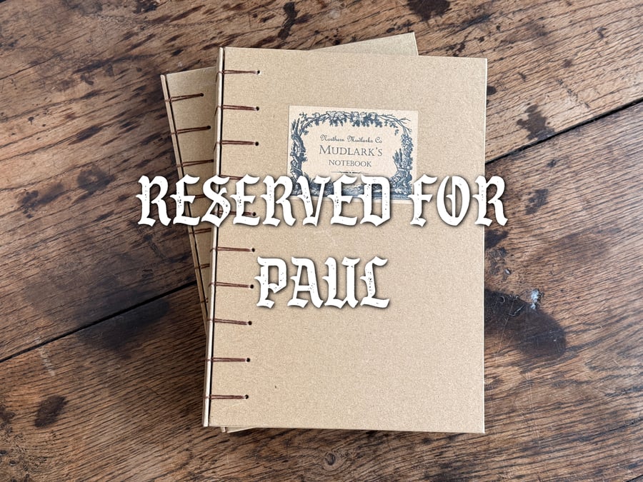 RESERVED FOR PAUL Mudlark's Notebook
