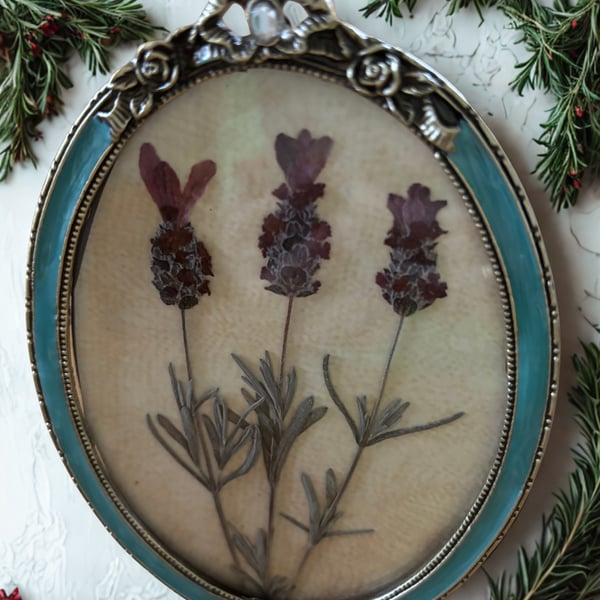 Pressed French Lavender in a vintage metal frame