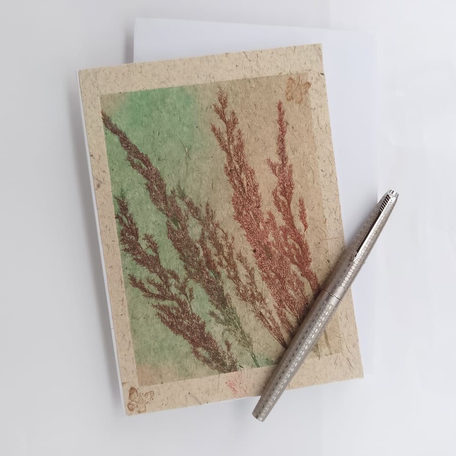 Autumn grasses a hand-printed card for nature lovers