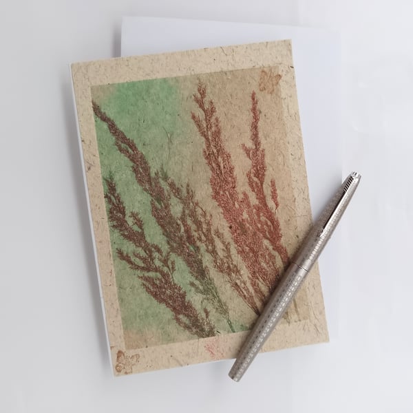 Greetings card autumn grasses