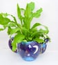 Moon & Stars Teapot Plant Pot - Hand-Painted Blue Ceramic - Image 6