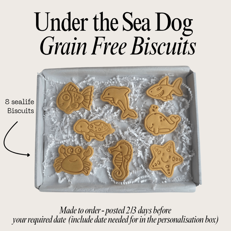 Dog under the Sea treat box, Homemade sea life biscuits 