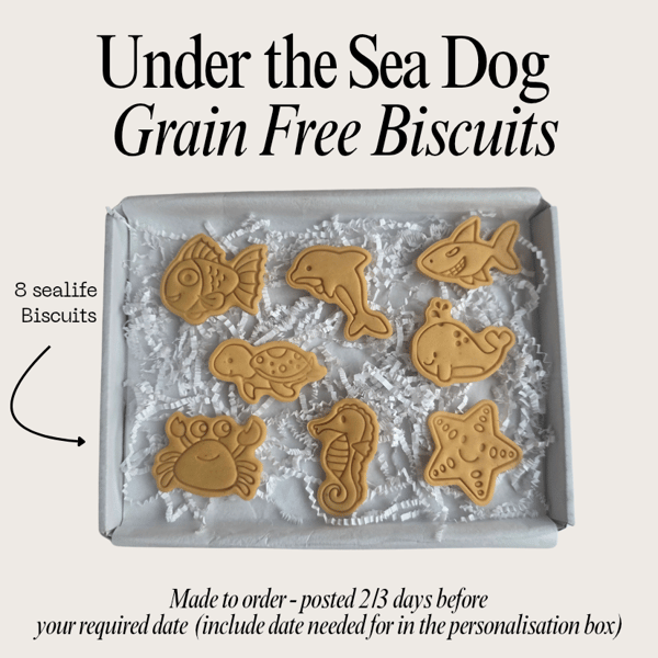 Dog under the Sea treat box, Homemade sea life biscuits 
