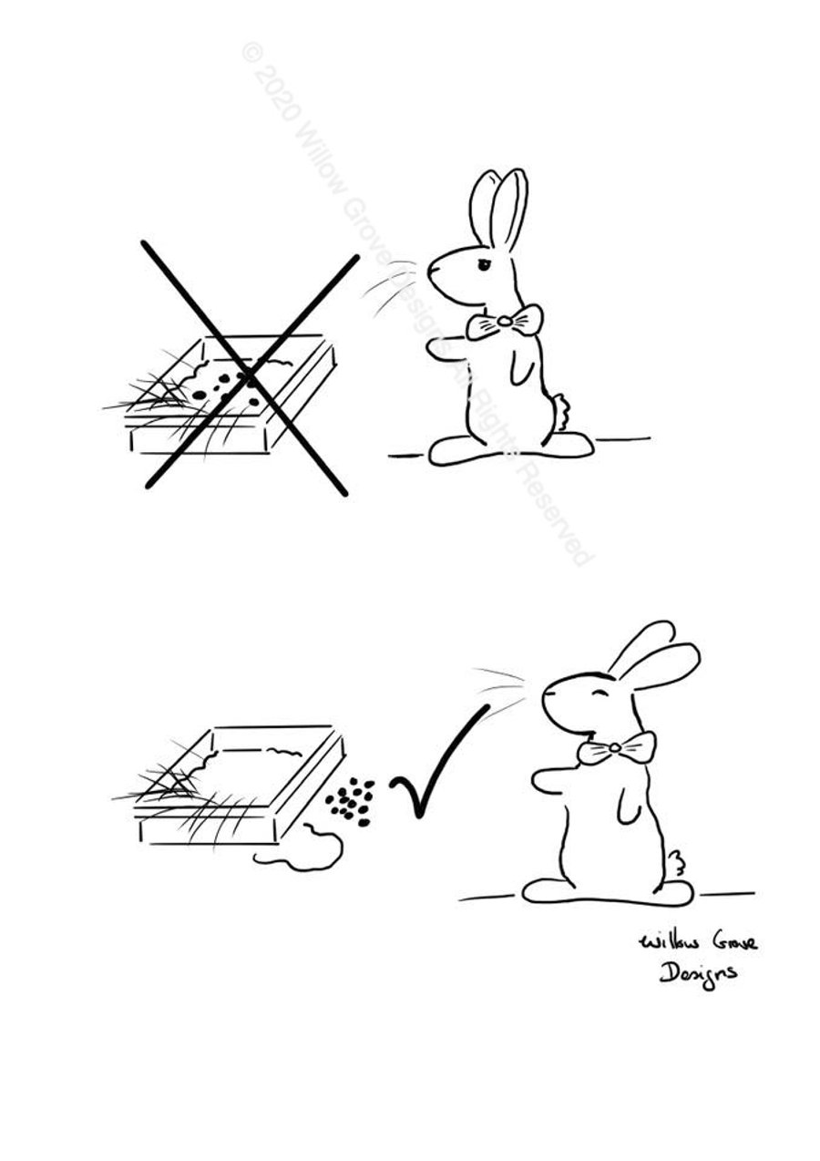 Professor Bunny "Litter Tray" - Art Print