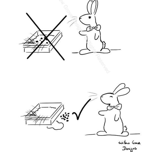 Professor Bunny "Litter Tray" - Art Print