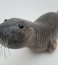 Articulating seal - Image 4