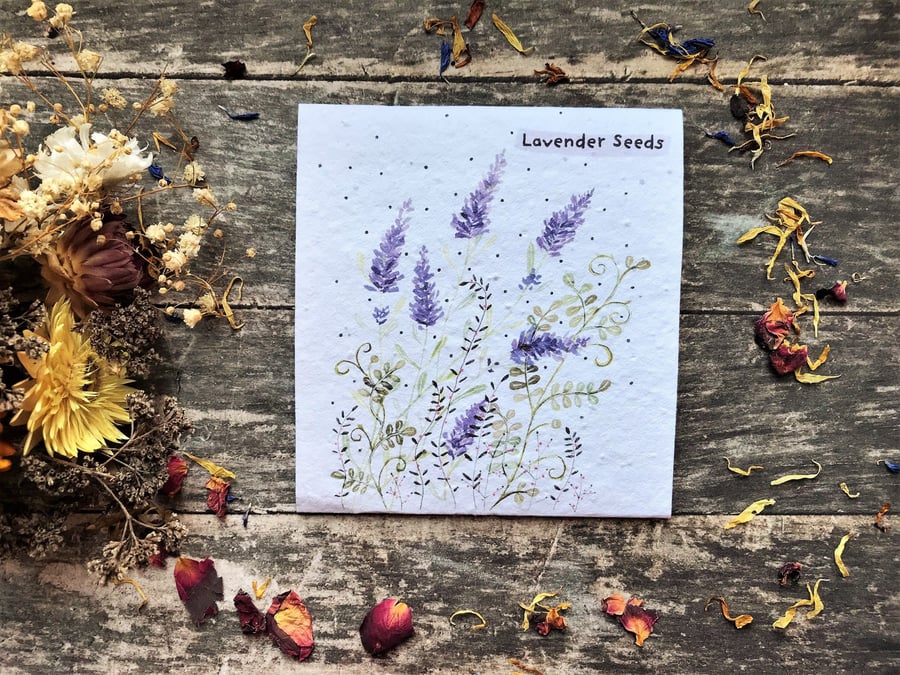 Pack of Lavender Seeds,Illustrated Gift,Quirky illustrated nature inspired gifts