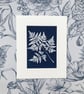 A unique handmade Cyanotype Photogram- Sweet Cicely Leaf, - Image 6